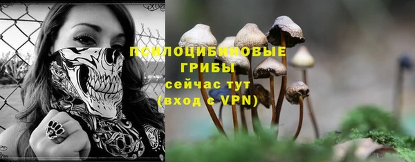 мескалин Каменногорск