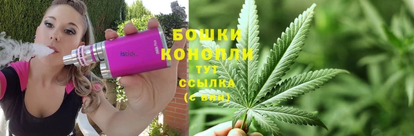 стаф Каменск-Шахтинский