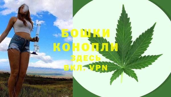 стаф Каменск-Шахтинский