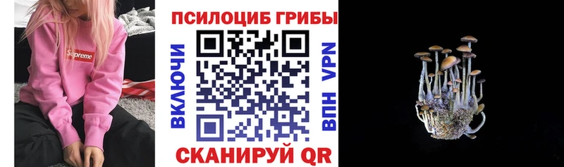 МЕГА ссылка  Невинномысск  Галлюциногенные грибы мухоморы  где можно купить наркотик 